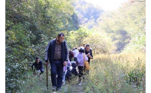 踏秋尋寶，聞香識(shí)藥！首屆神農(nóng)杯野外識(shí)藥大賽在株洲鳳凰山景區(qū)成功舉辦！